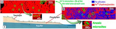 X-ray chemical imaging for assessing redox microsites within soils and sediments